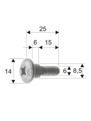 Bodywork screw RMS 121856101 Dokud Zásoby Vydrží