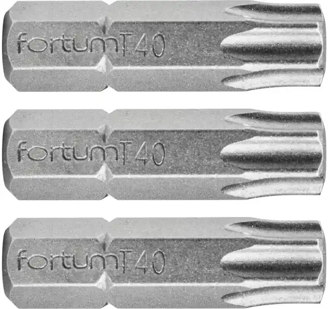 Poslední Šance Hrot TORX, sada 3ks, T 40x25mm, S2 FORTUM